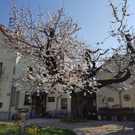 לימבורג אן דר לאהן Ferienwohnung Zum-Alten-Kirschbaum מראה חיצוני תמונה