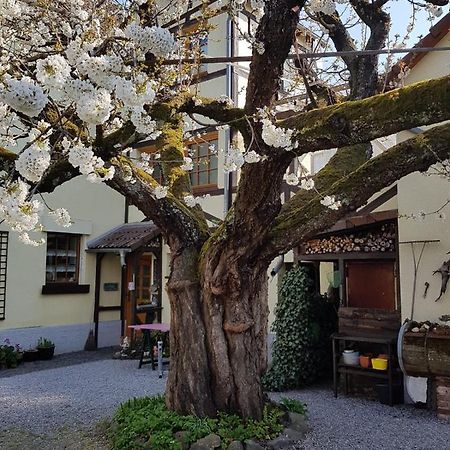 לימבורג אן דר לאהן Ferienwohnung Zum-Alten-Kirschbaum מראה חיצוני תמונה