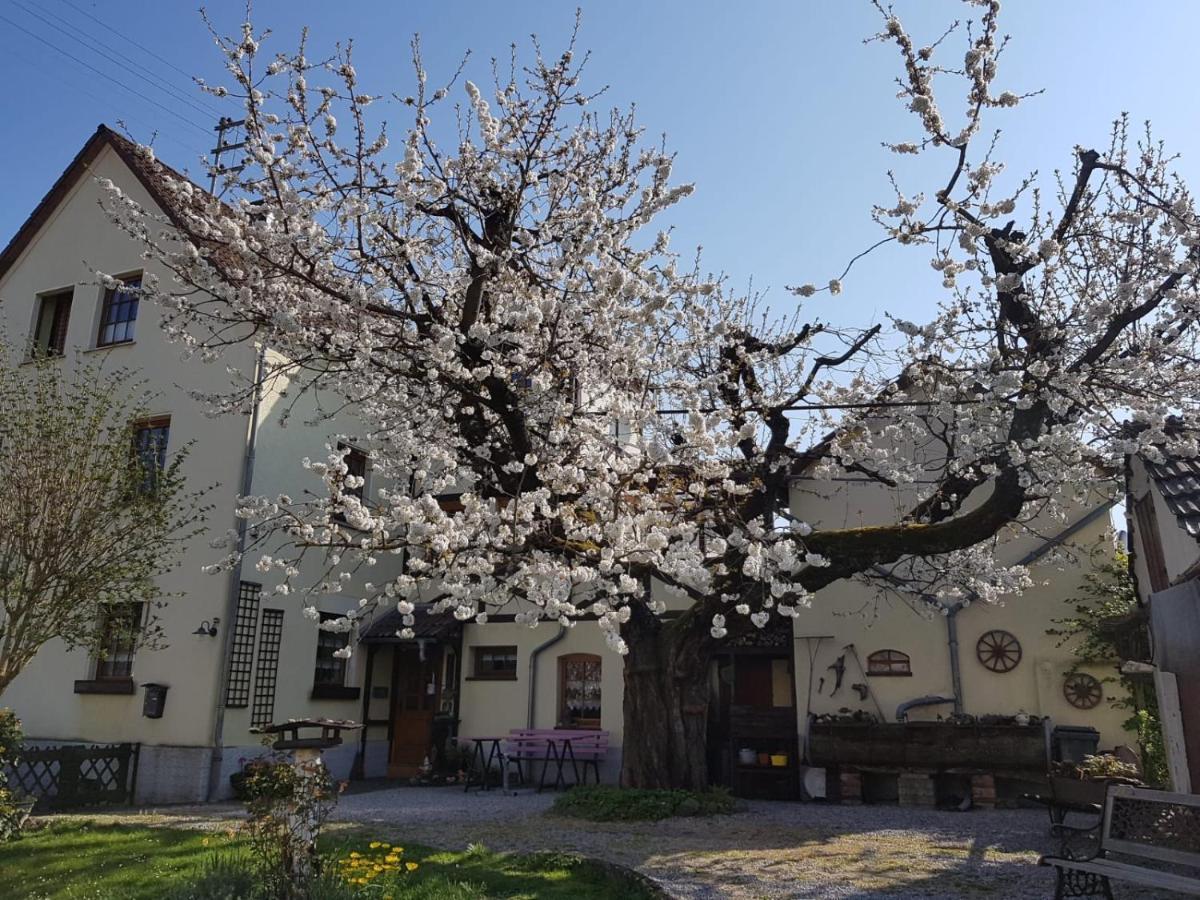לימבורג אן דר לאהן Ferienwohnung Zum-Alten-Kirschbaum מראה חיצוני תמונה