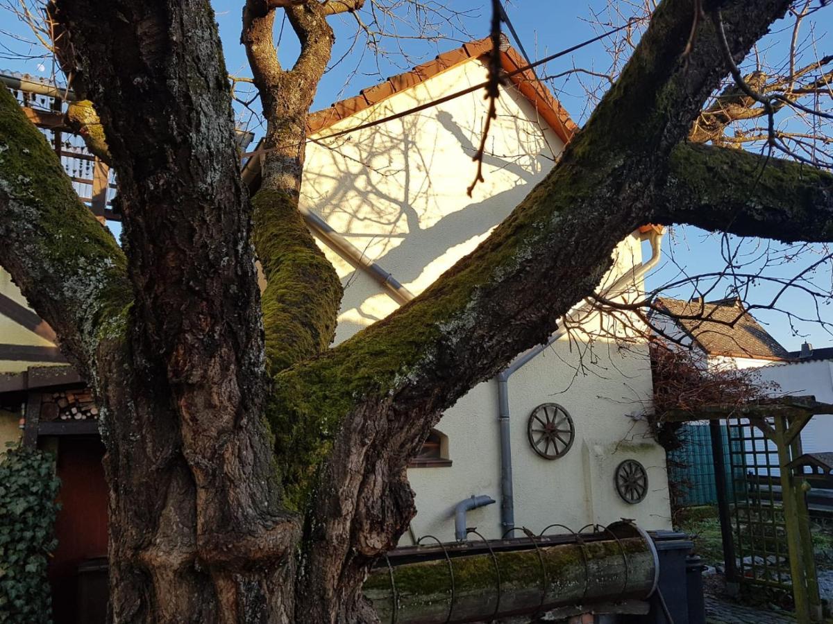 לימבורג אן דר לאהן Ferienwohnung Zum-Alten-Kirschbaum מראה חיצוני תמונה