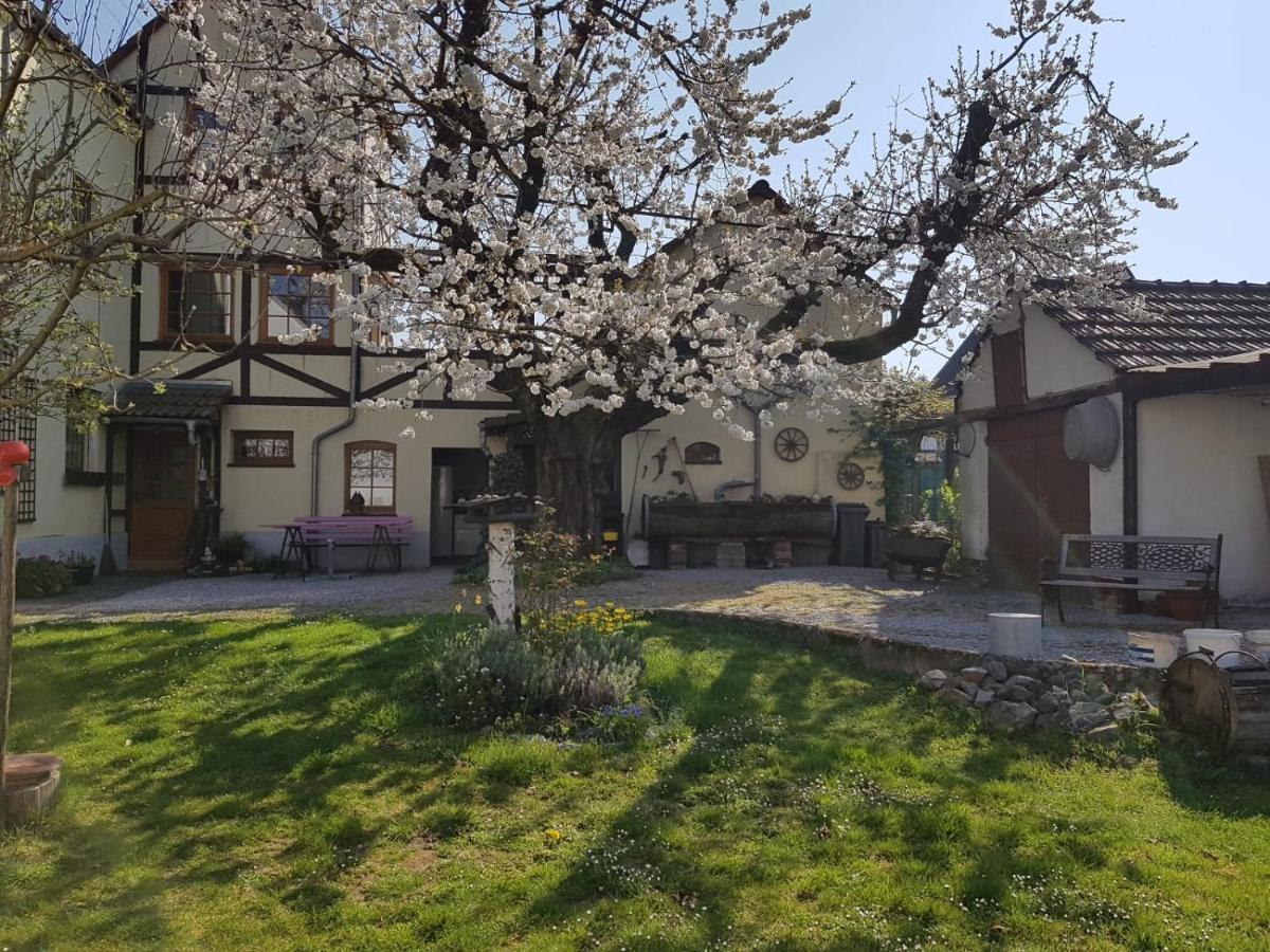 לימבורג אן דר לאהן Ferienwohnung Zum-Alten-Kirschbaum מראה חיצוני תמונה